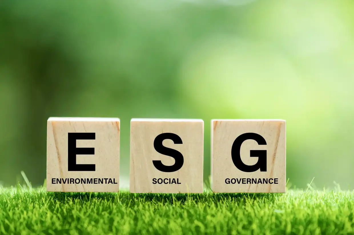What is ESG? Environmental, social, and governance commitment explained